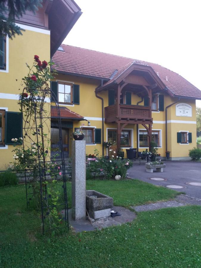 Dachberghof Apartment Sankt Andra  Exterior photo